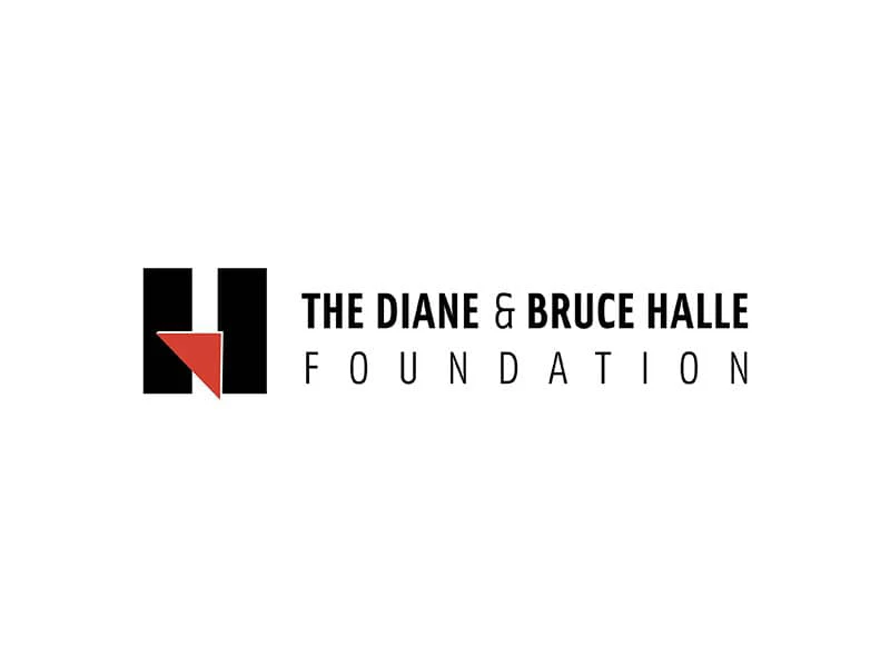 Logo of The Diane & Bruce Halle Foundation, supporting child welfare and advocacy efforts for abused children.