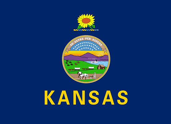 Kansas state flag featuring the state seal, sunflowers, and the word "KANSAS," symbolizing the state's heritage and identity in the context of foster care rights legislation.
